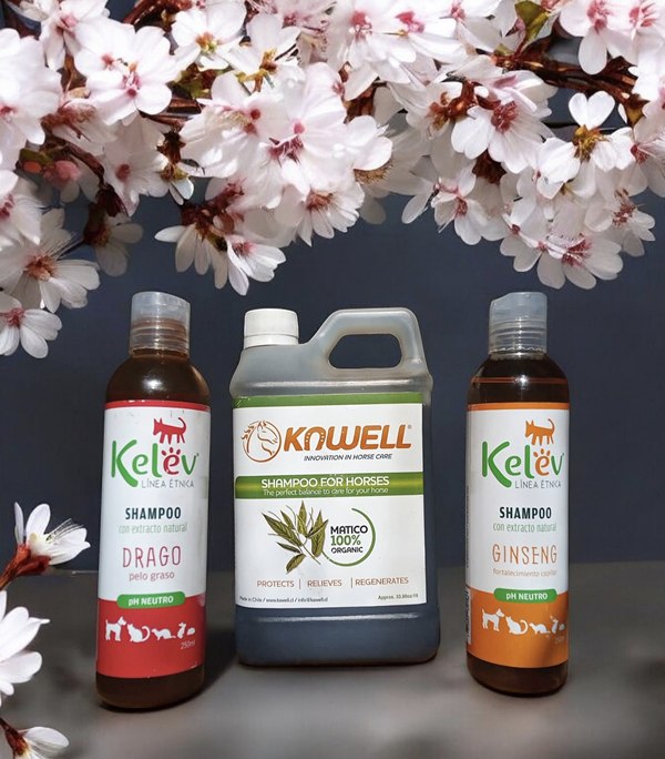 Shampoos Kelëv Drago y Ginseng y shampoo Kawell de Matico orgánico