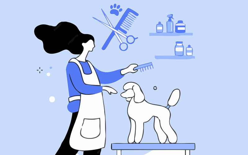 Peluquera peinando a un perro poodle sobre la mesa