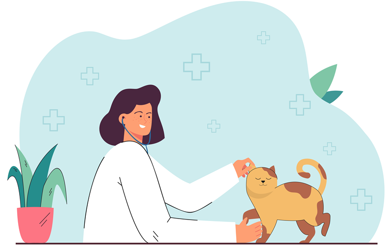 Veterinaria revisando a un gato con estetoscopio